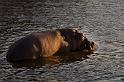 019 Zimbabwe, zambezi river sunset cruise